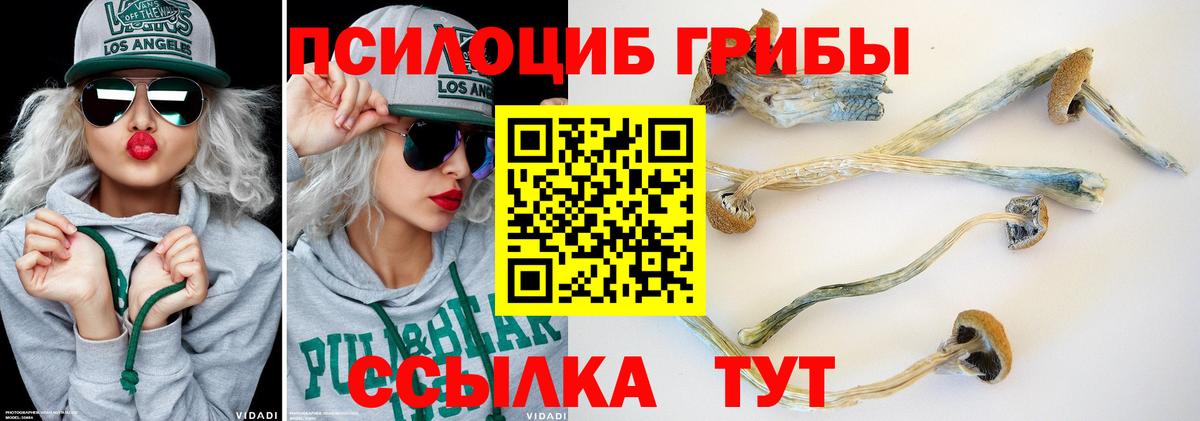 Псилоцибиновые грибы Magic Shrooms  Галлюциногенные грибы прущие грибы  магазин  наркотиков  Вход с VPN  Карпинск 