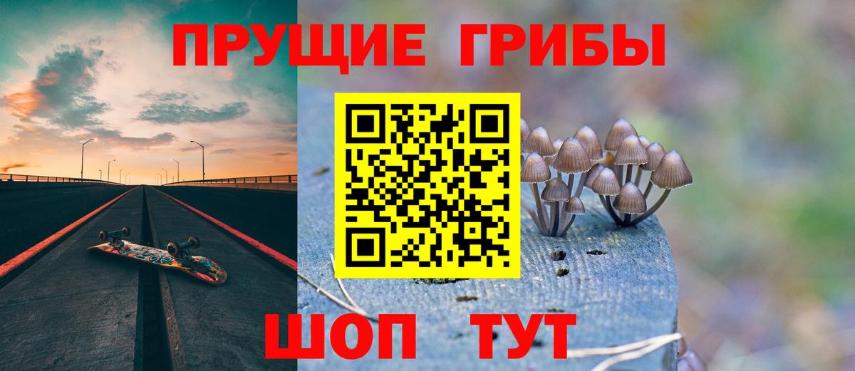 Галлюциногенные грибы прущие грибы Карпинск